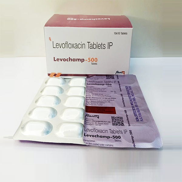 LEVOCHAMP-500